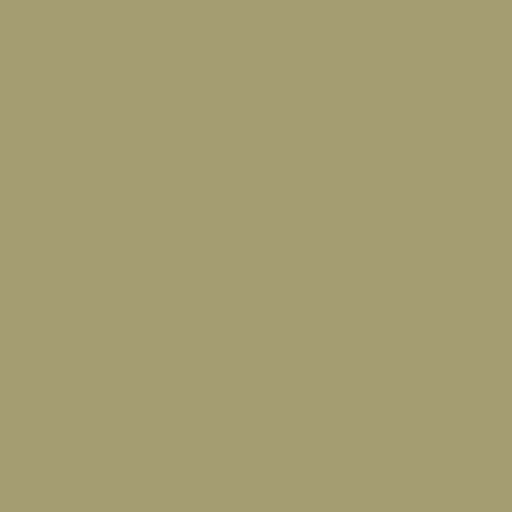 DLX1114-5 Soupe aux pois