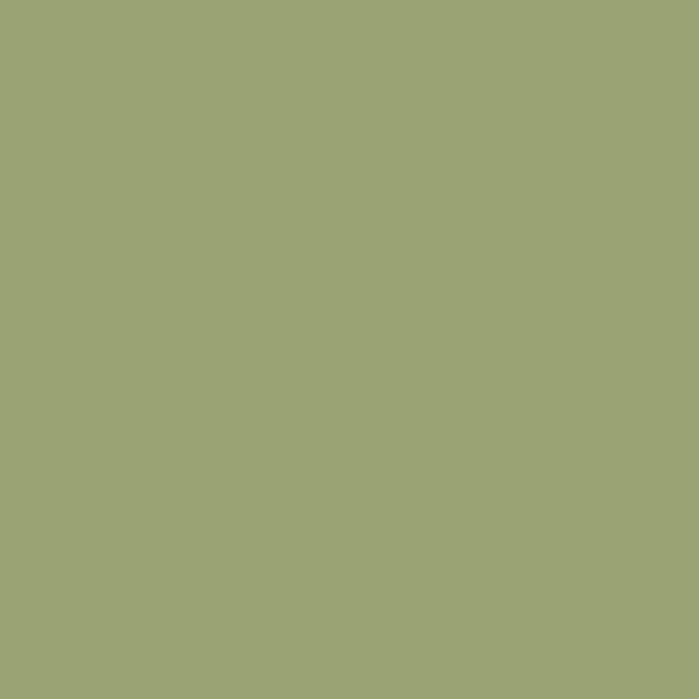 DLX1120-6 Succulente lime