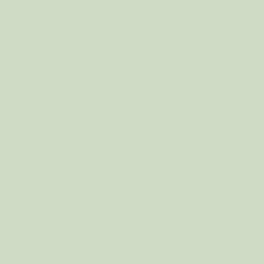 DLX1121-3 Vert mousse pâle