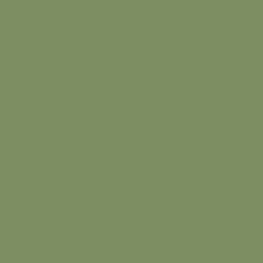 DLX1121-6 Vert Moss Point