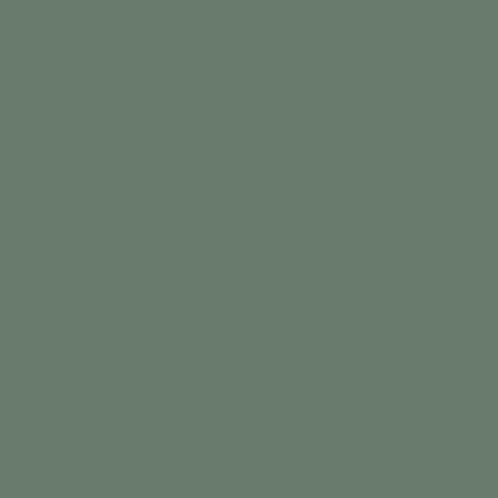 DLX1134-6 Lierre anglais