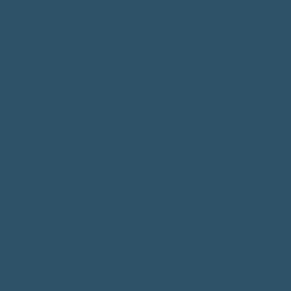 DLX1163-7 Tarte aux bleuets