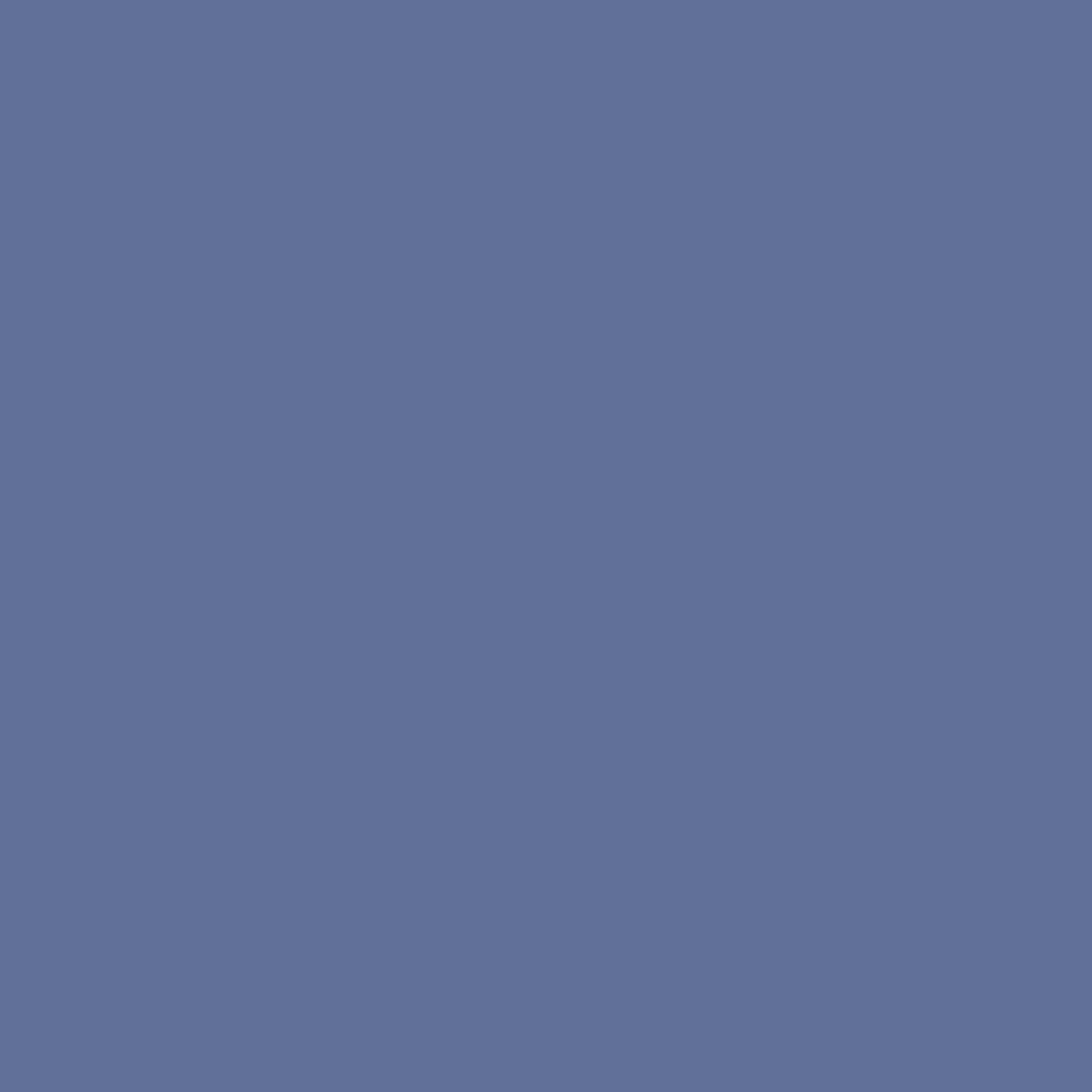 DLX1167-6 Champ de bleuets