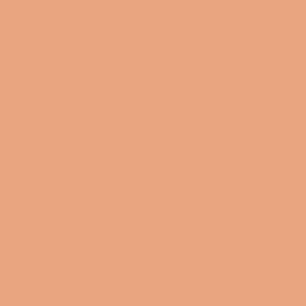 DLX1200-4 Argile orangée