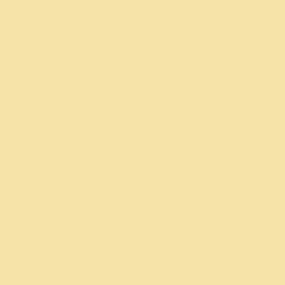DLX1214-4 Papillon nain