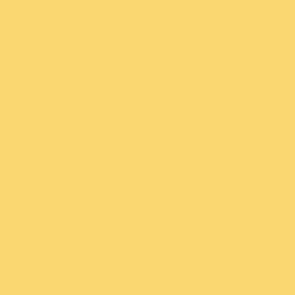 DLX1214-5 Forsythia en fleurs