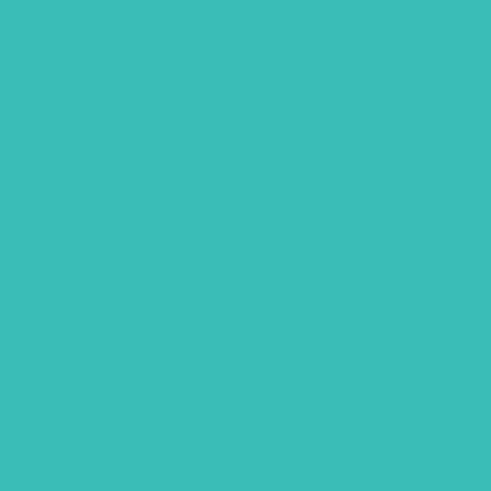 DLX1232-5 Touche de turquoise