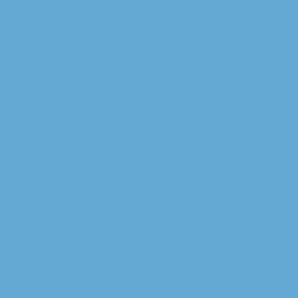 DLX1239-4 Bleu Salem