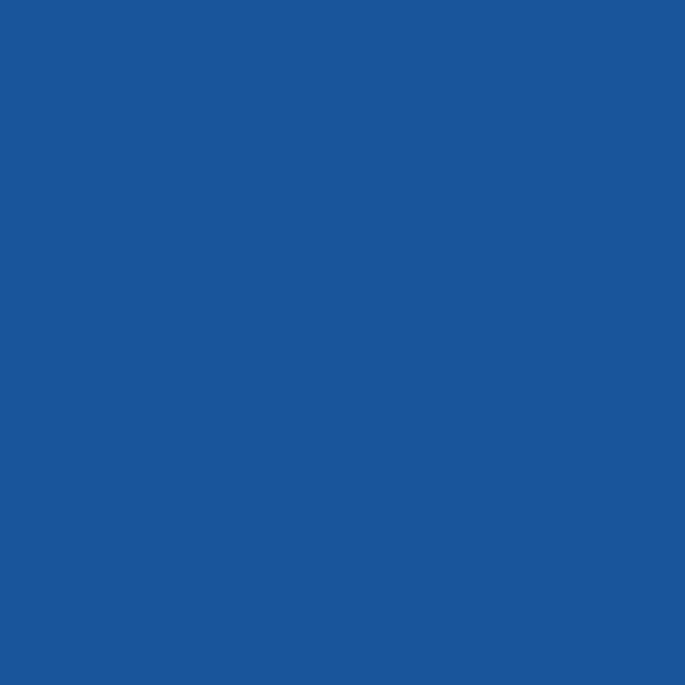 DLX1244-7 Lapis florentin