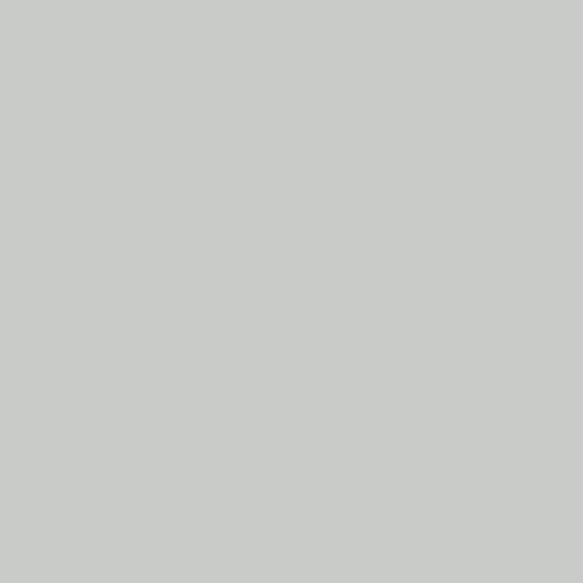 DLX0994-2-Gris Pittsburgh