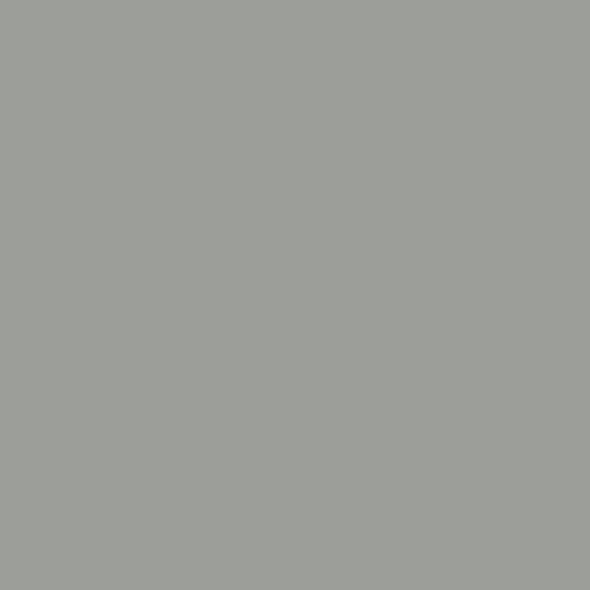 DLX0994-5-Rideau D’Acier