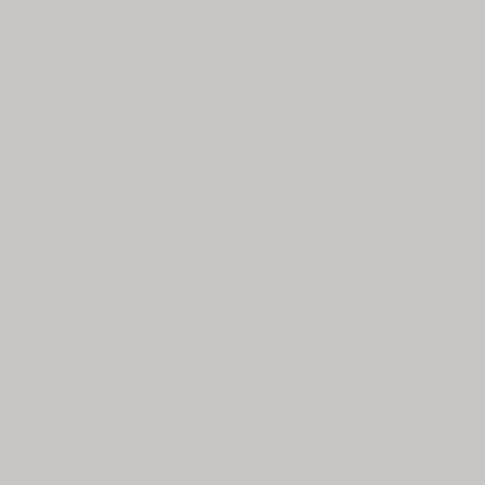 DLX0995-3-Anneau D’Argent