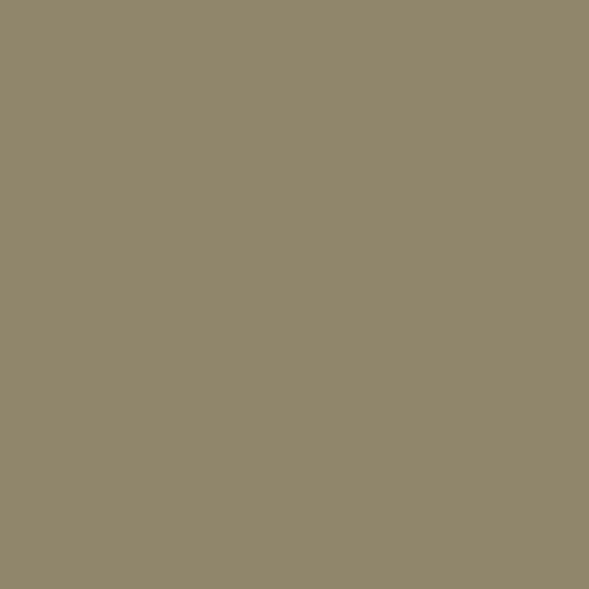 DLX1027-5 Jonc d’Inde