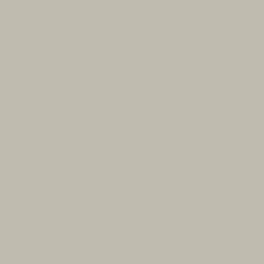 DLX1032-2 Brouillard d'ouragan