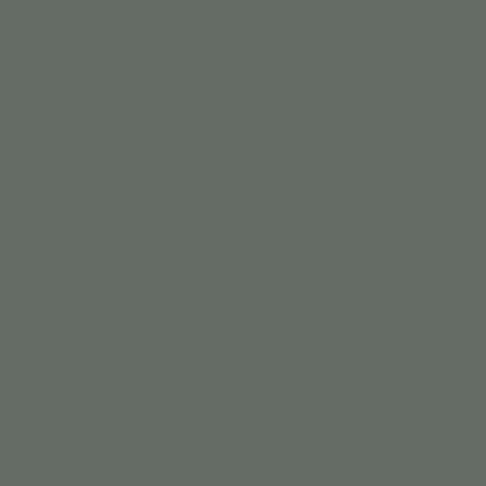 DLX1033-6 Gris acier