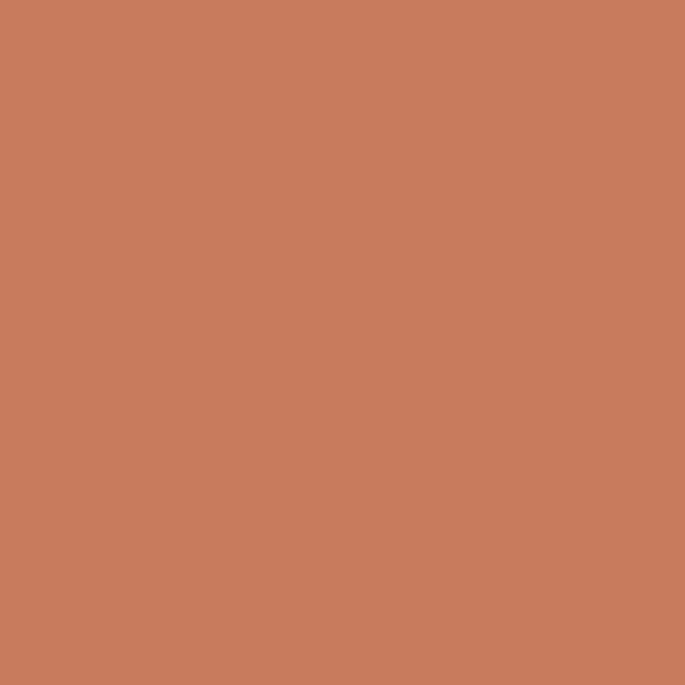 DLX1199-6 Argile brune