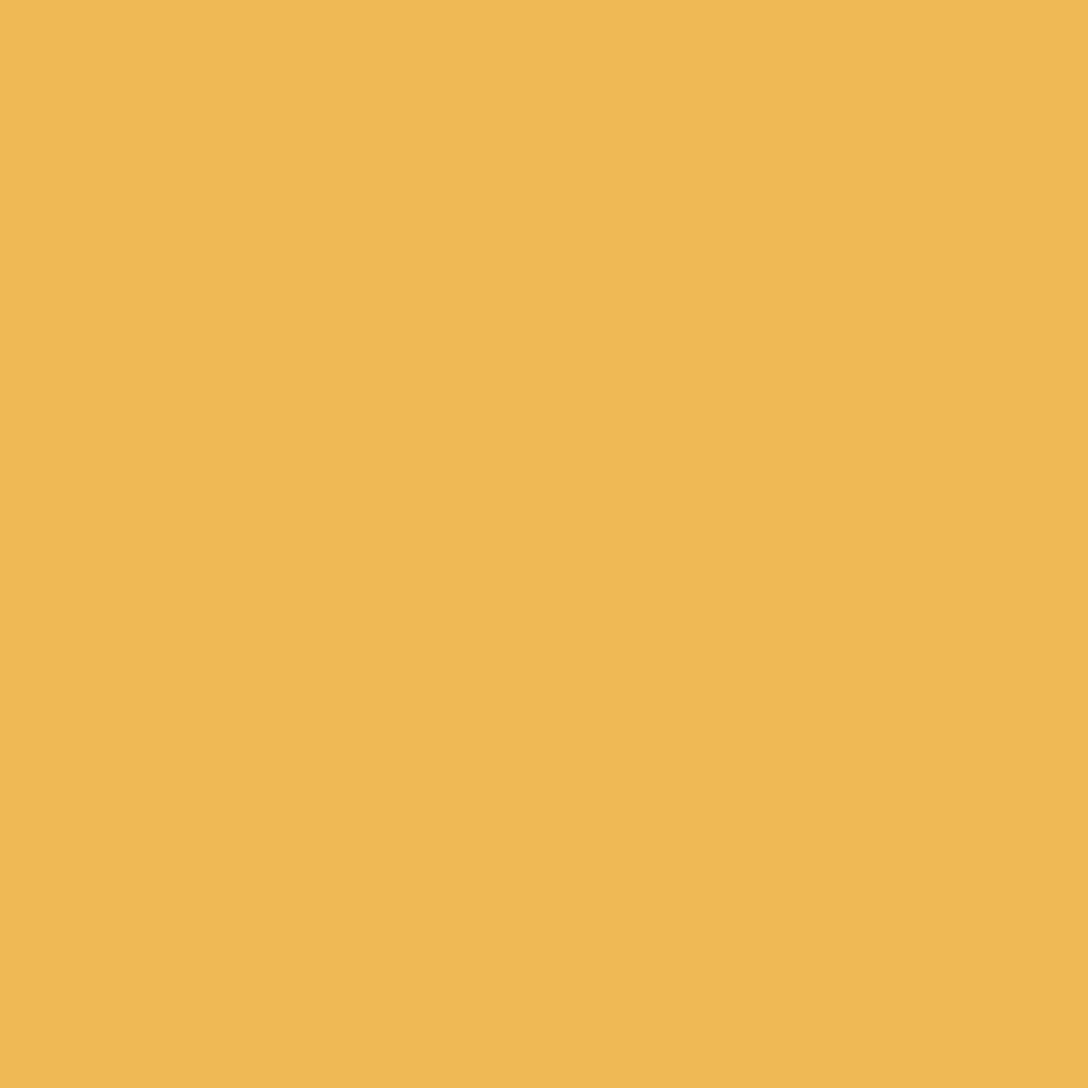 DLX1209-5 Échinacée jaune