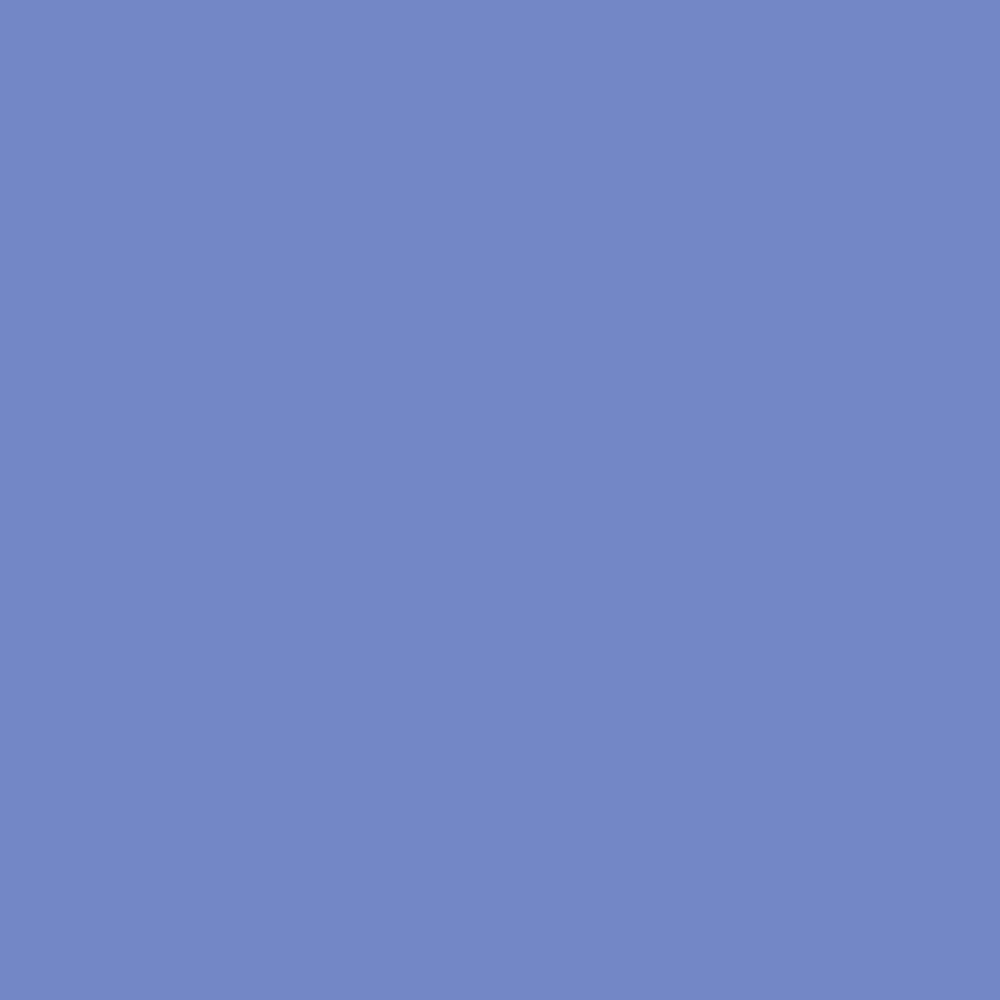 DLX1246-6 Violettes bleues
