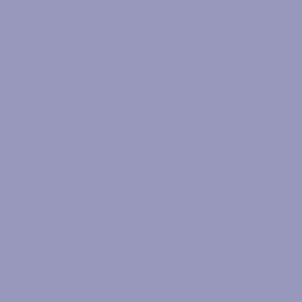 DLX1248-5 Violet Puturple